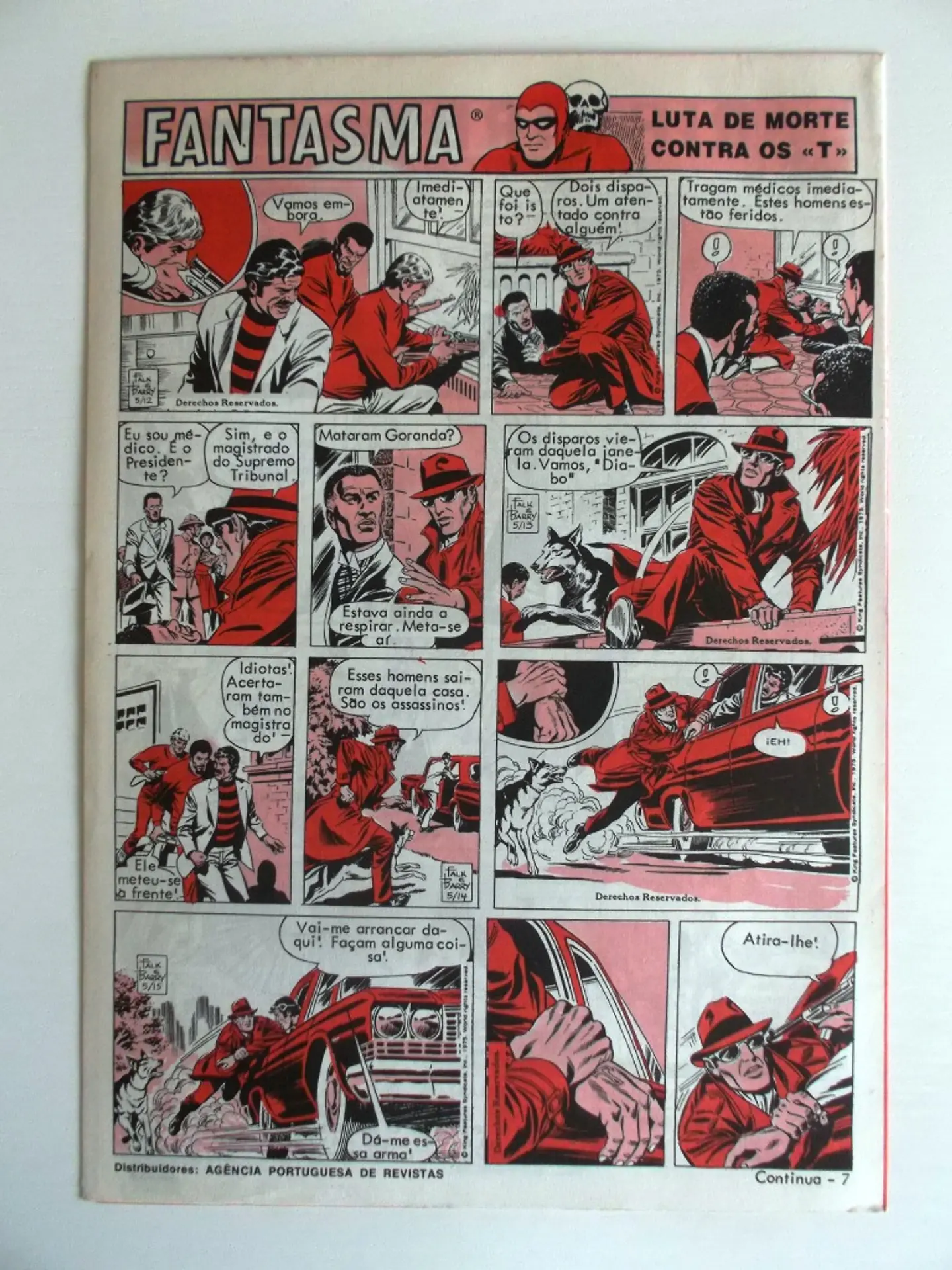O Grilo 26 2