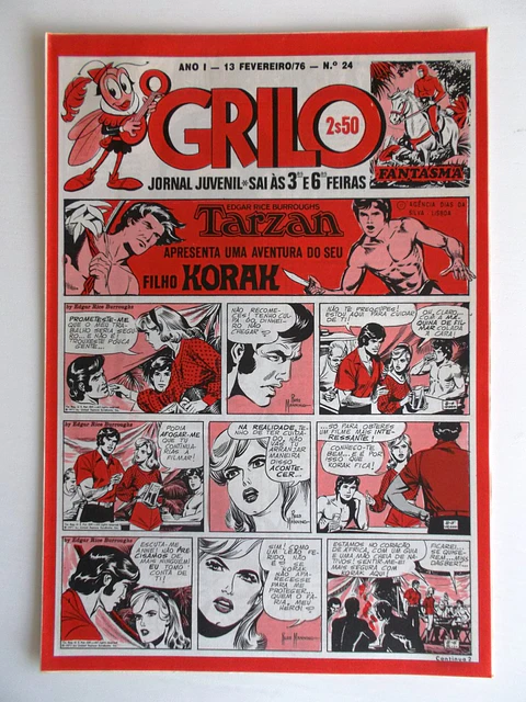O Grilo 24