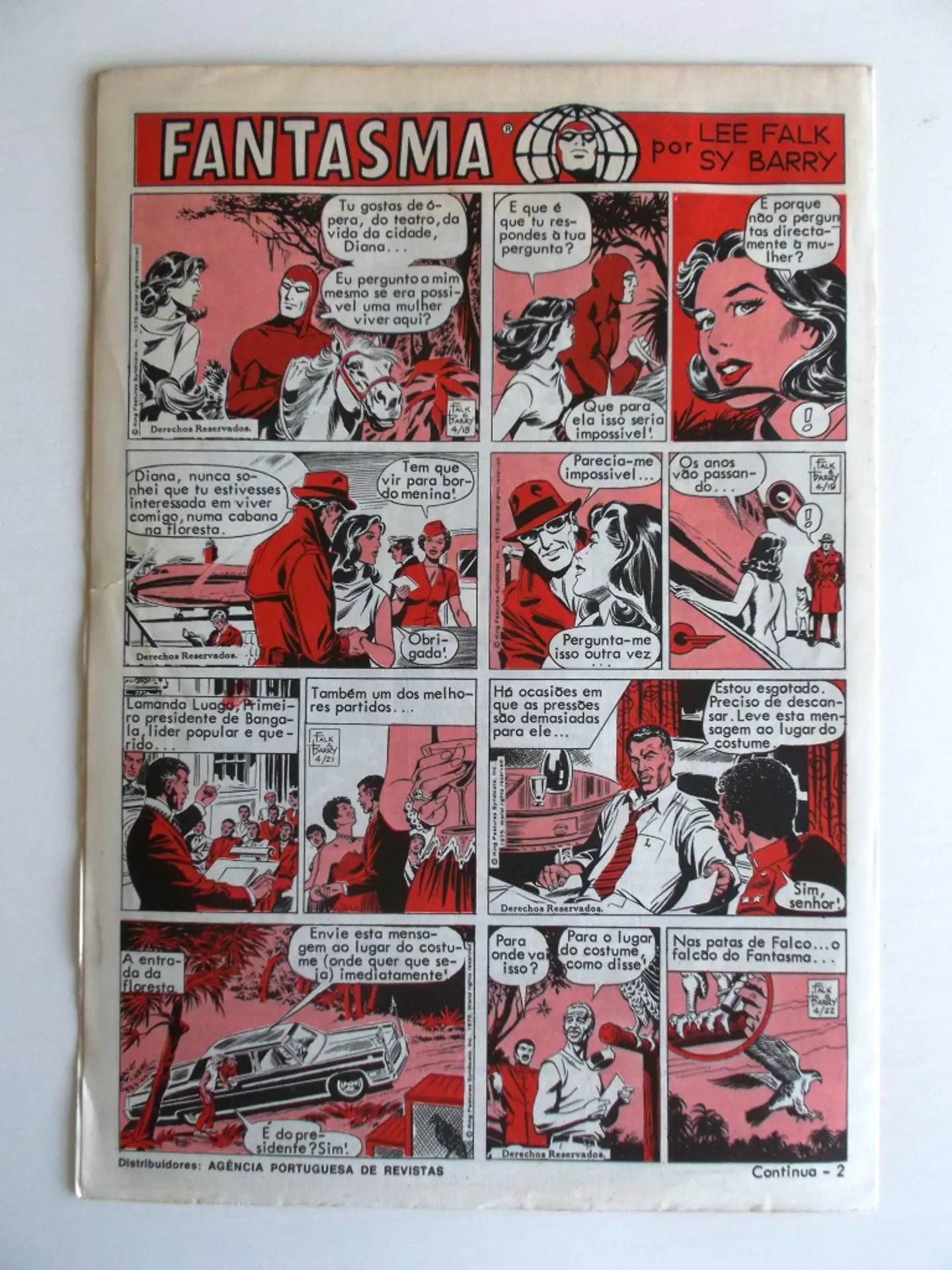 O Grilo 21 2