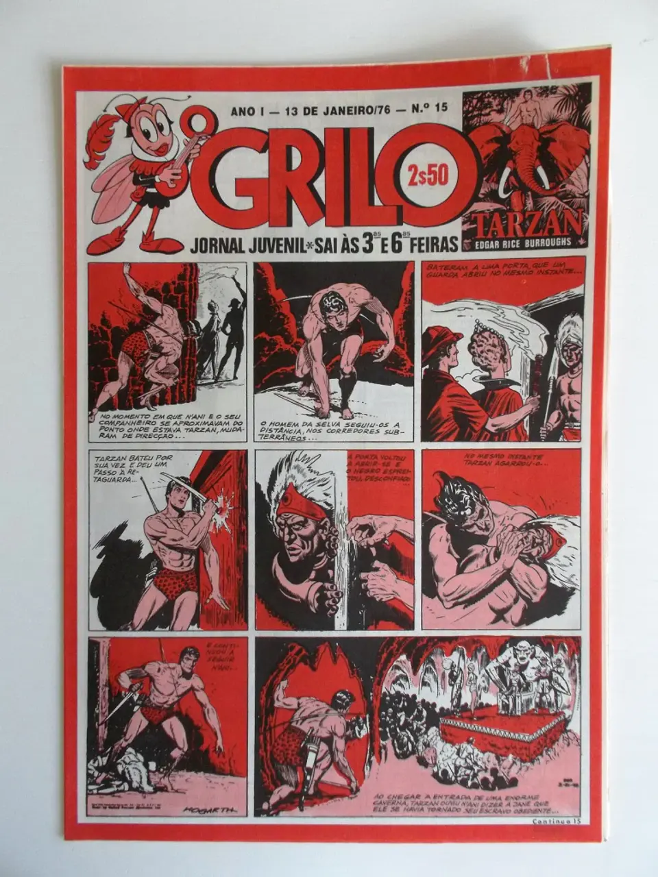 O Grilo 15 1