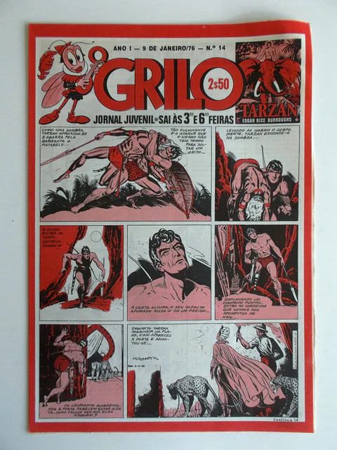 O Grilo 14