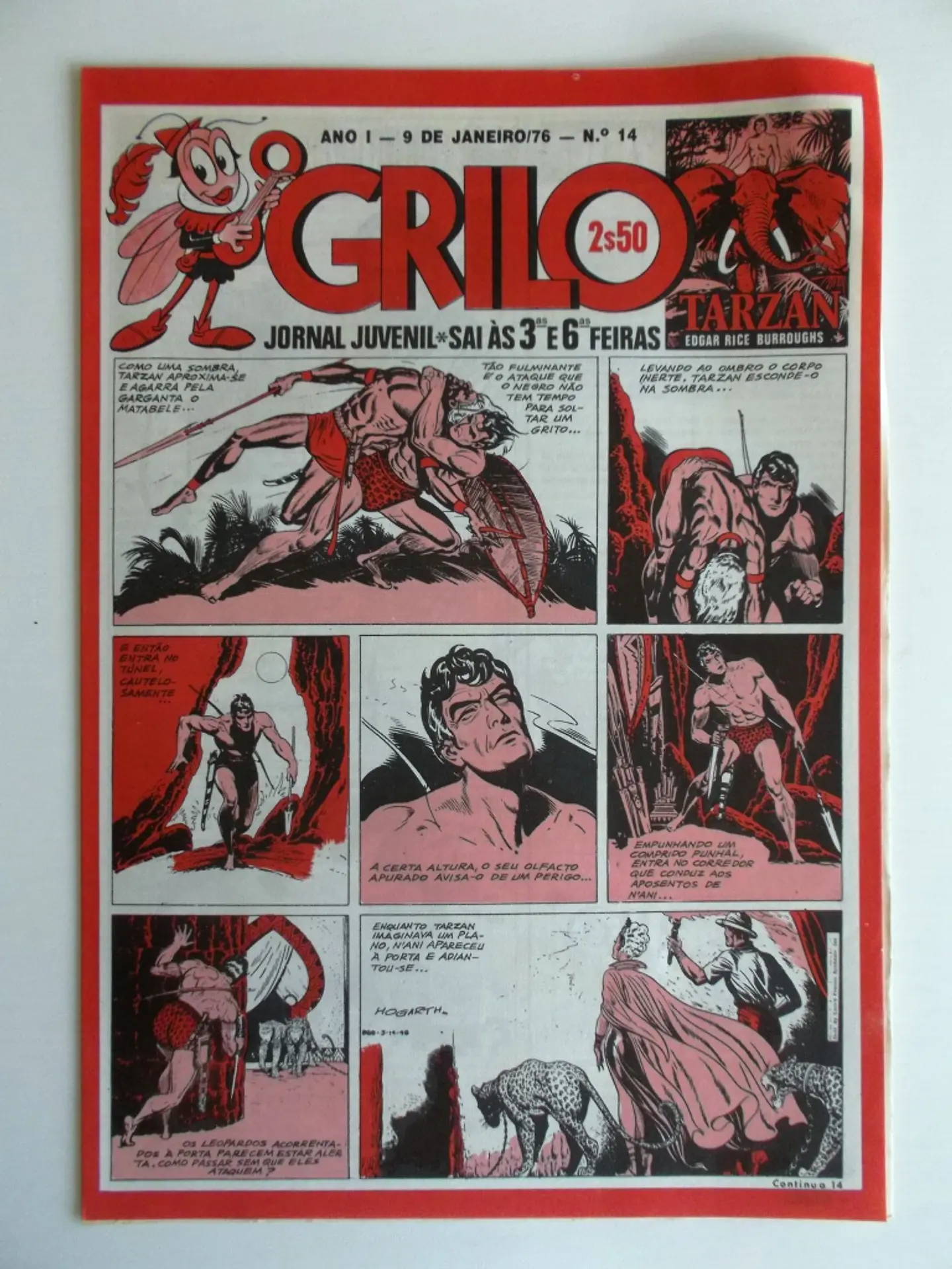 O Grilo 14 1