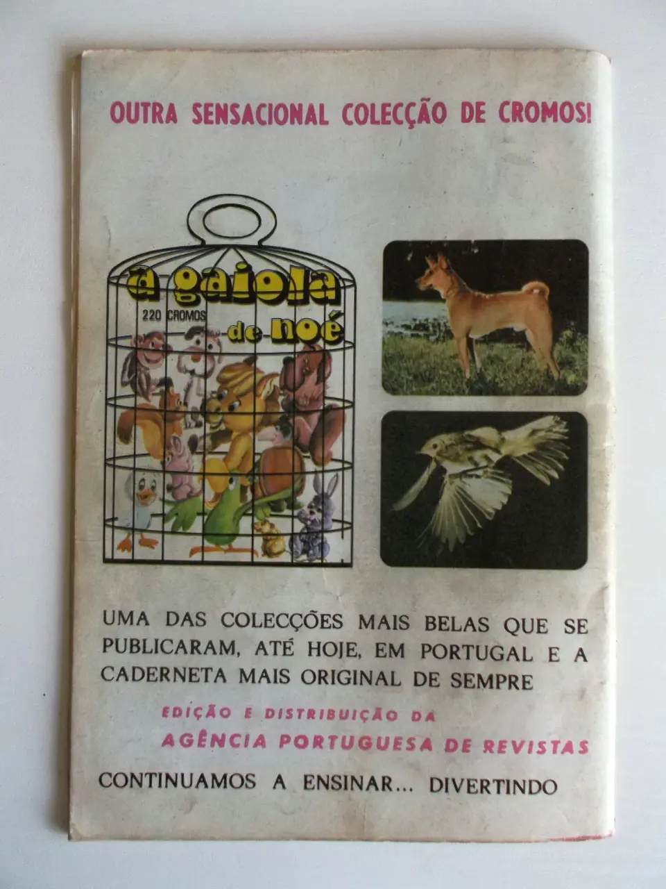 Roy Rogers 061 2