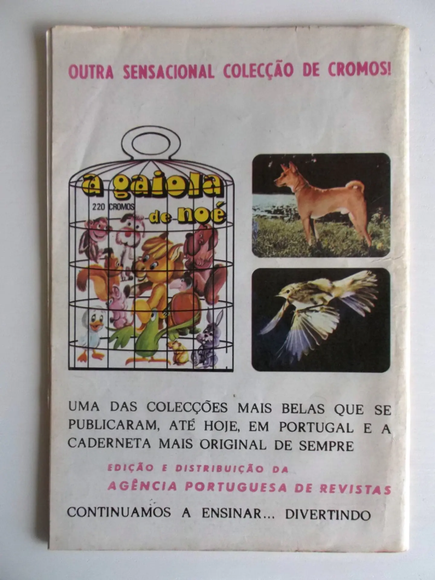 Roy Rogers 061 2