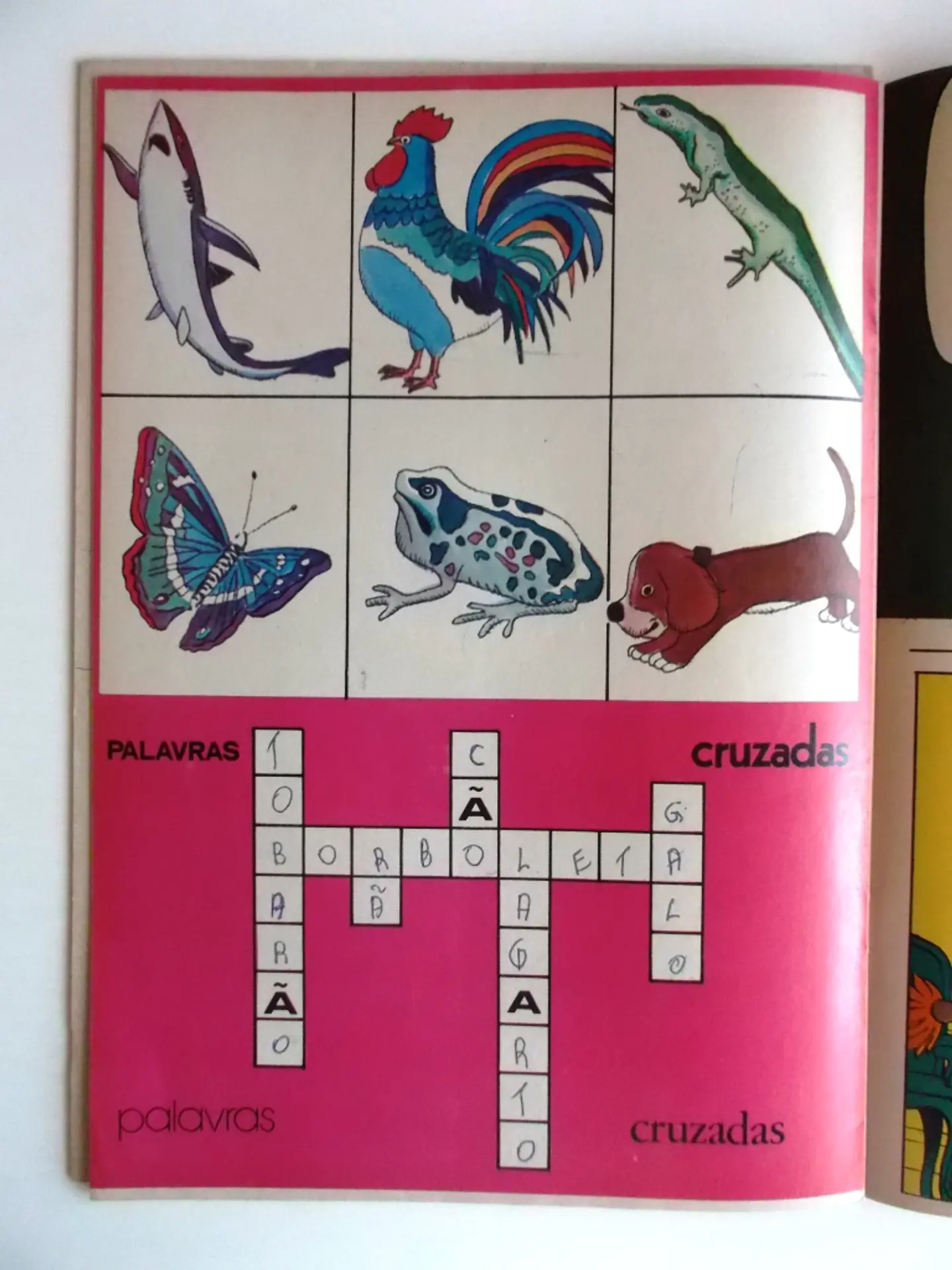 Revista Heidi 30 4