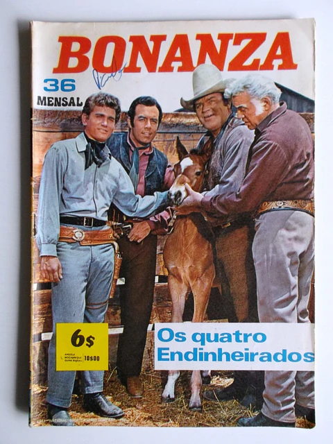 Bonanza 36