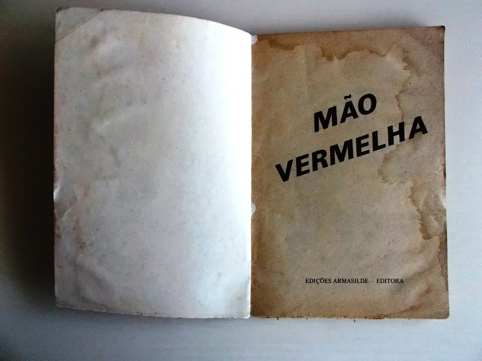 Mão Vermelha 4