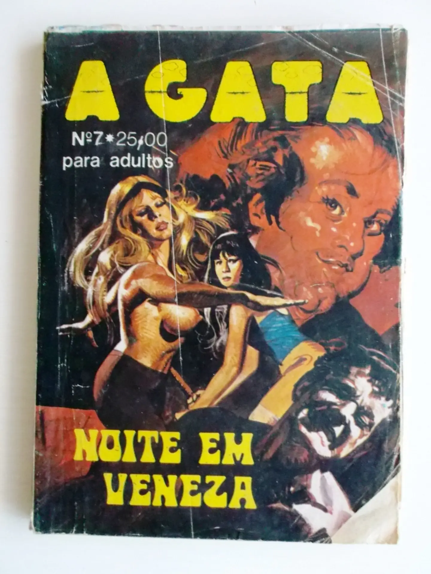 A Gata 7 1
