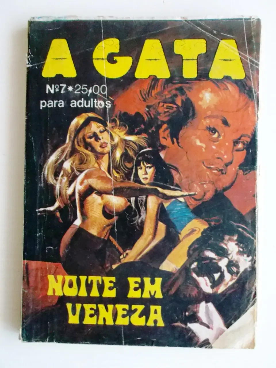 A Gata 7 1