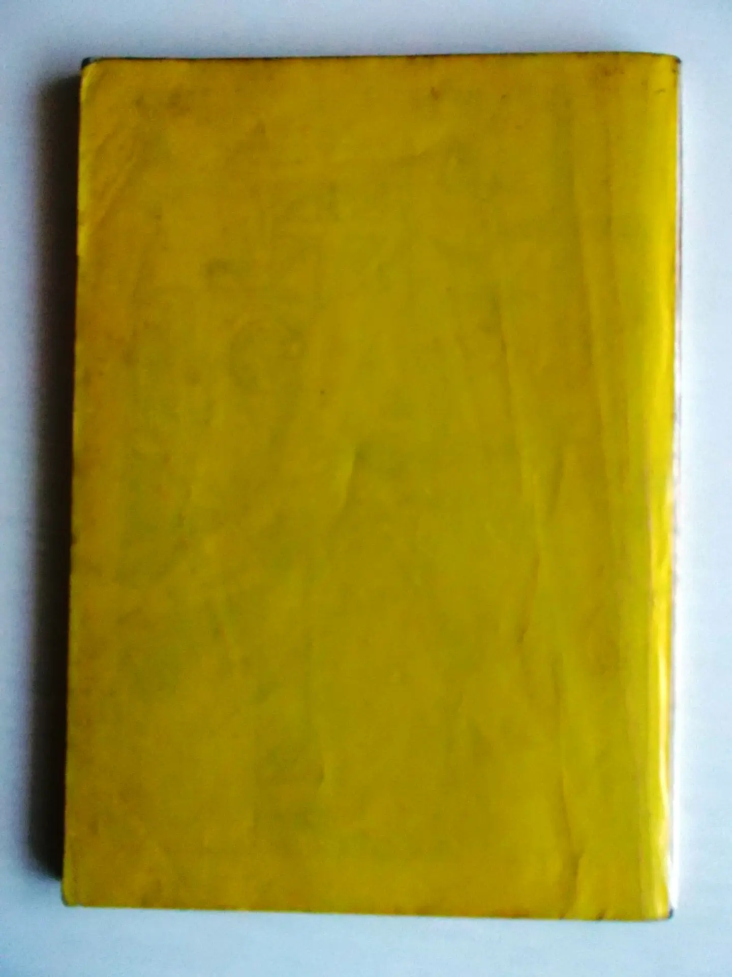 Tarântula 1 2