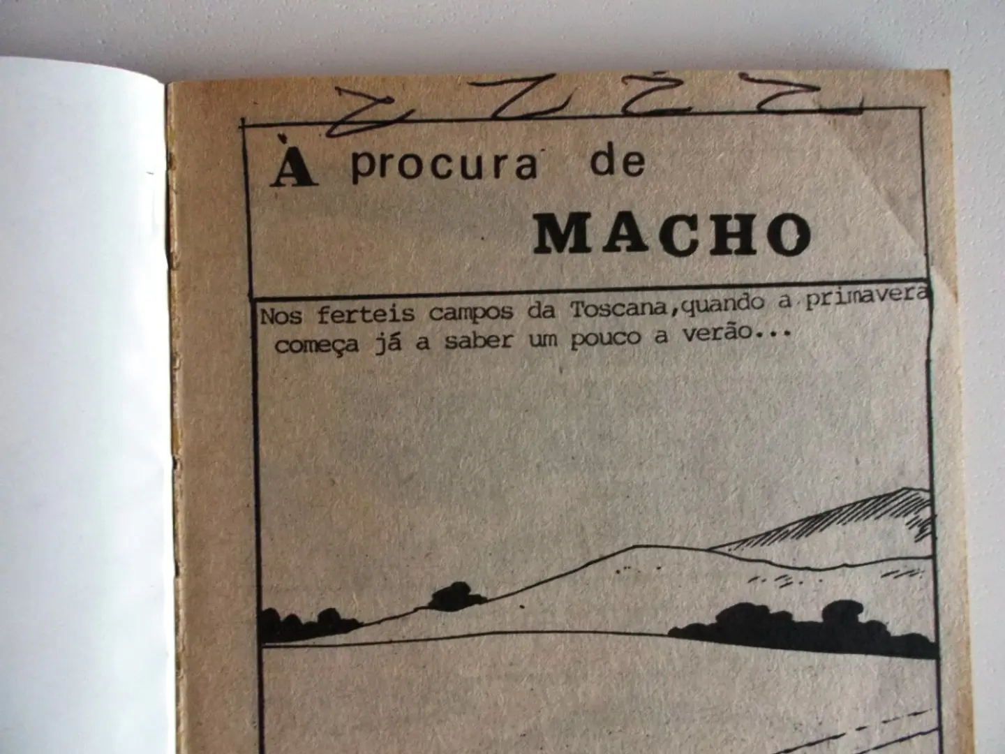 Topas? 40 4