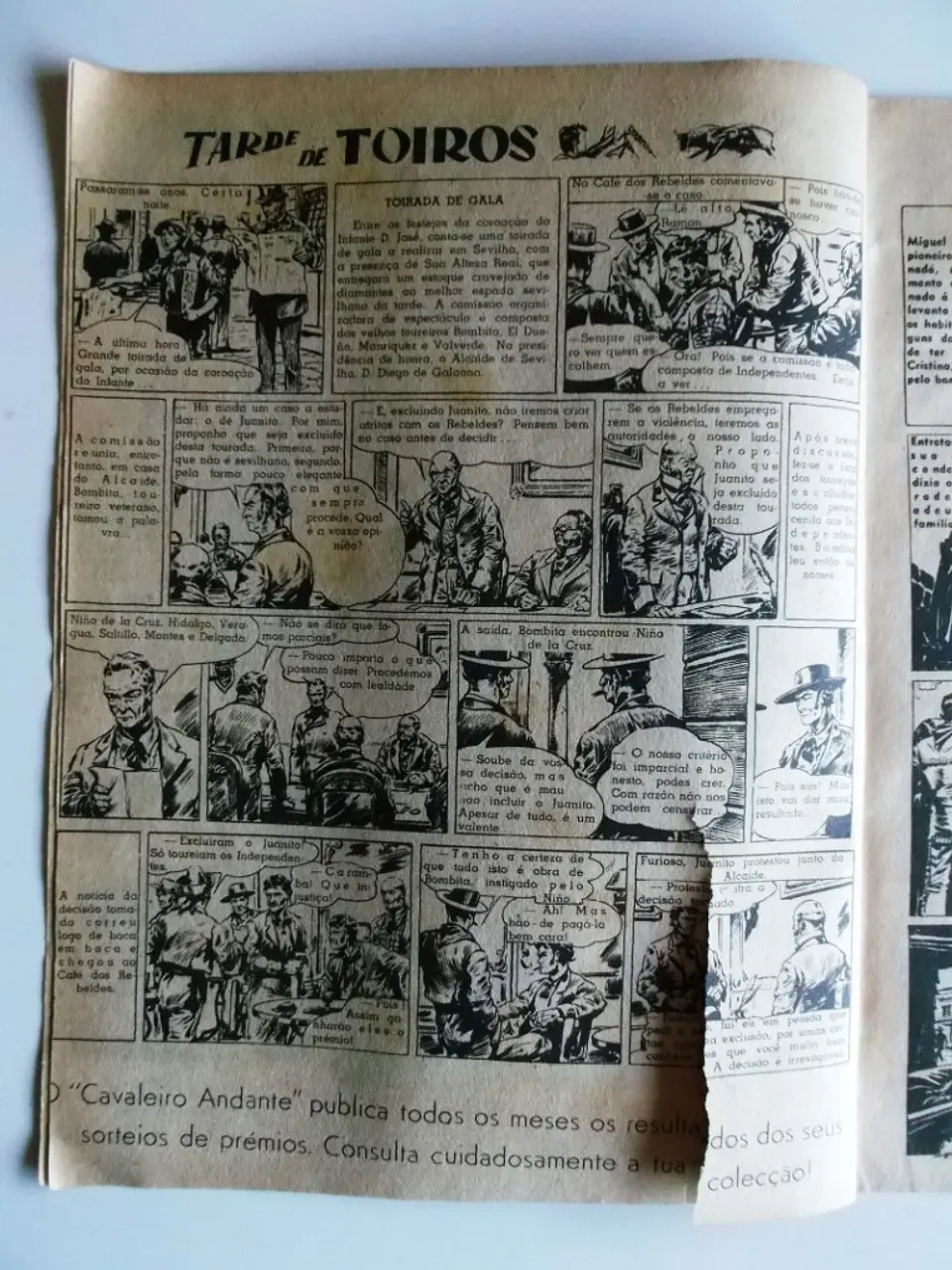 Cavaleiro Andante 060 4