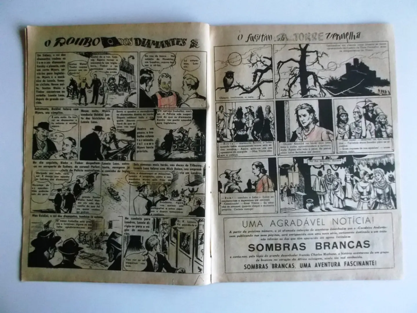 Cavaleiro Andante 065 4