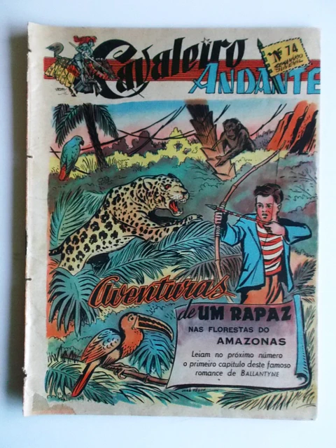 Cavaleiro Andante 074