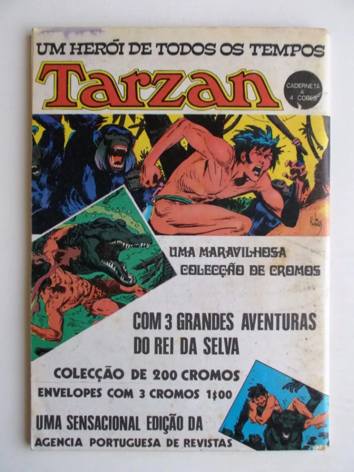 Condor 208 2