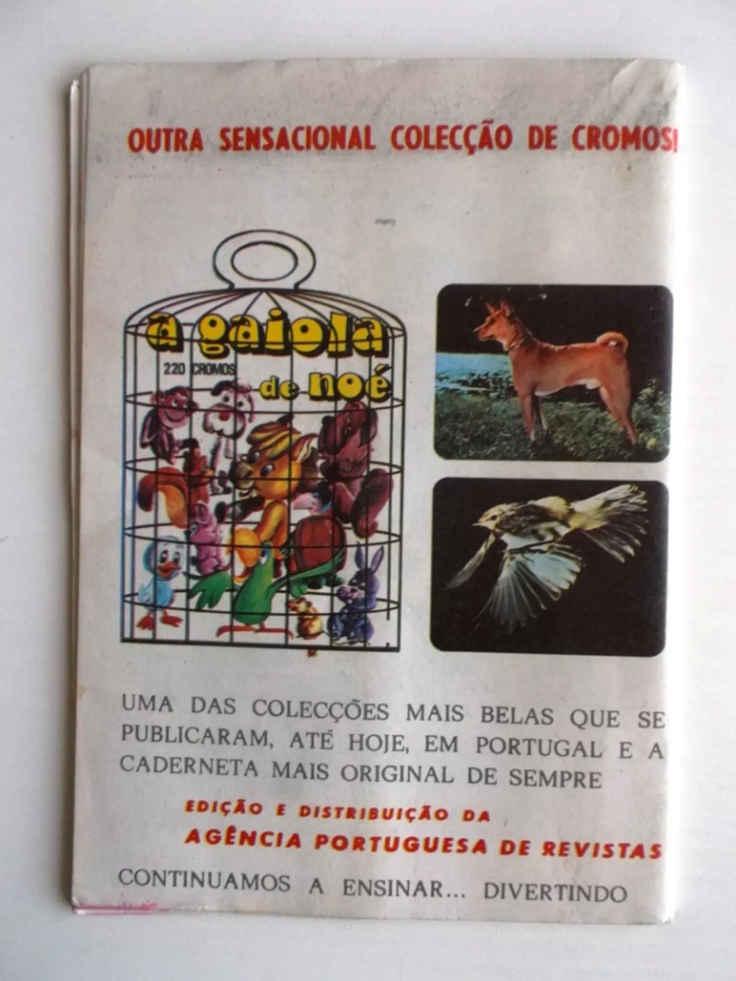 Aventuras do FBI 229 2