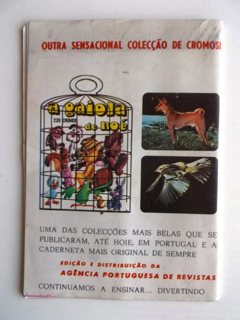 Aventuras do FBI 229 2