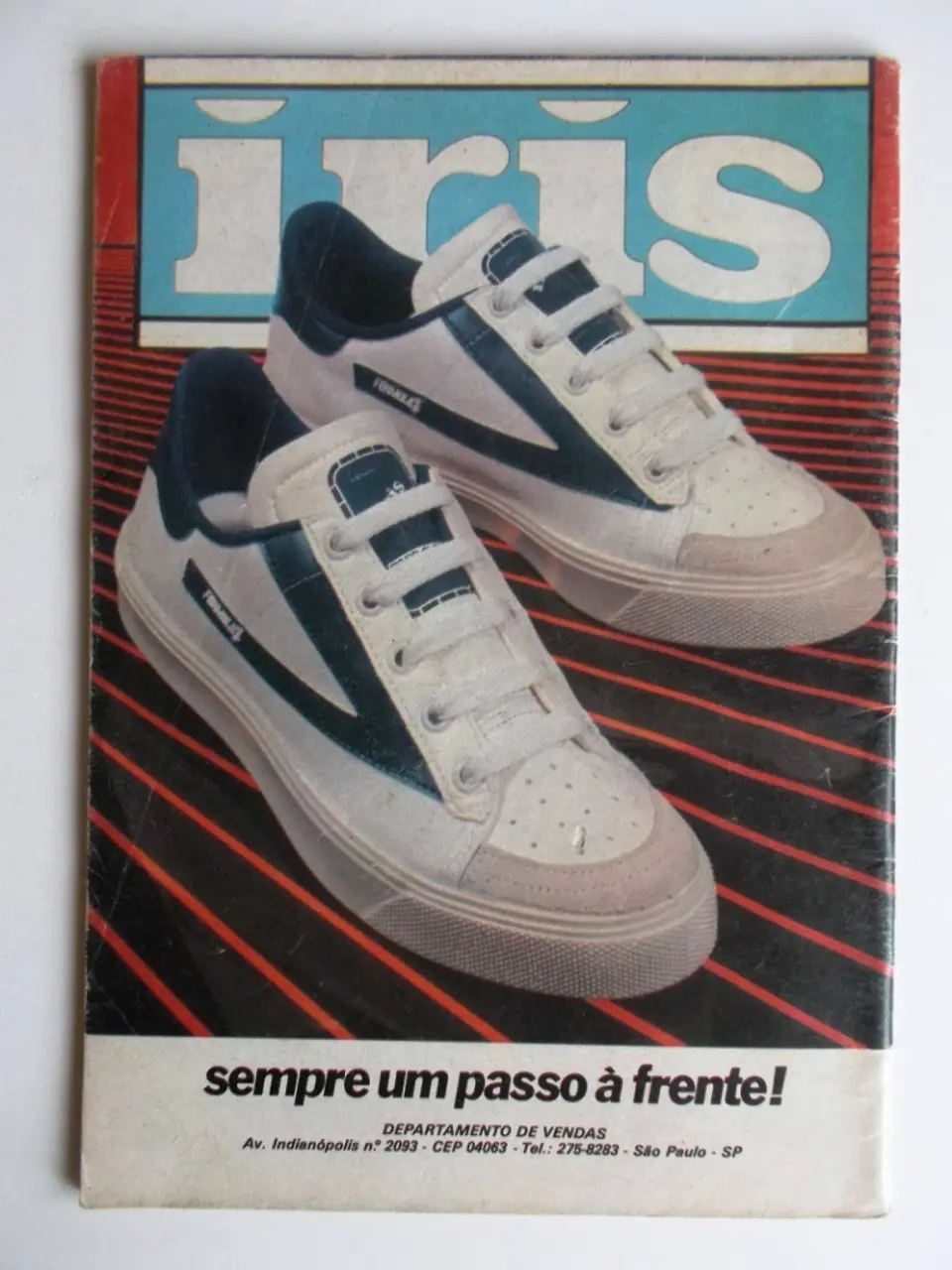 O Pica-Pau 61 2