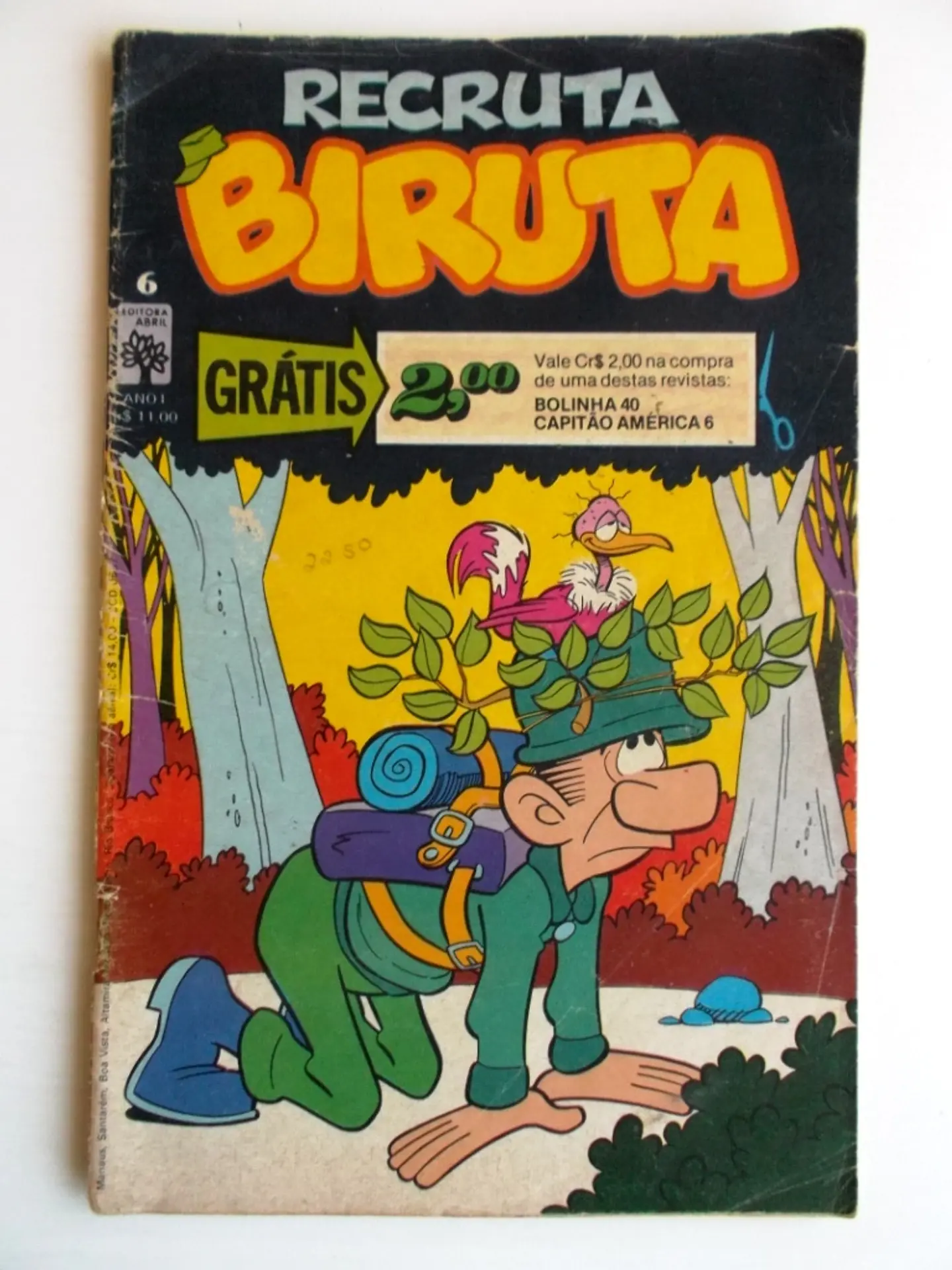 Recruta Biruta 06 1