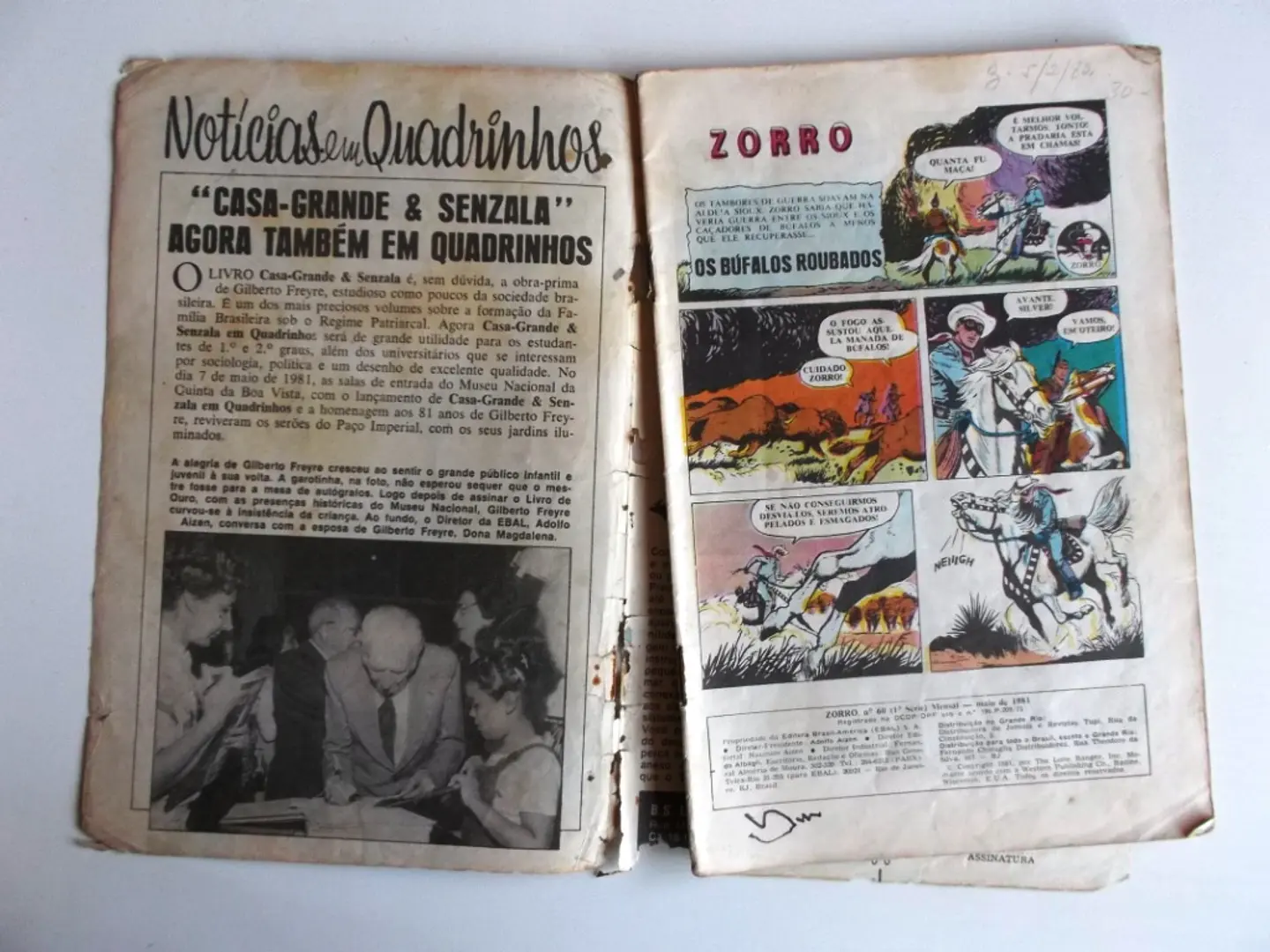 Zorro 60 4