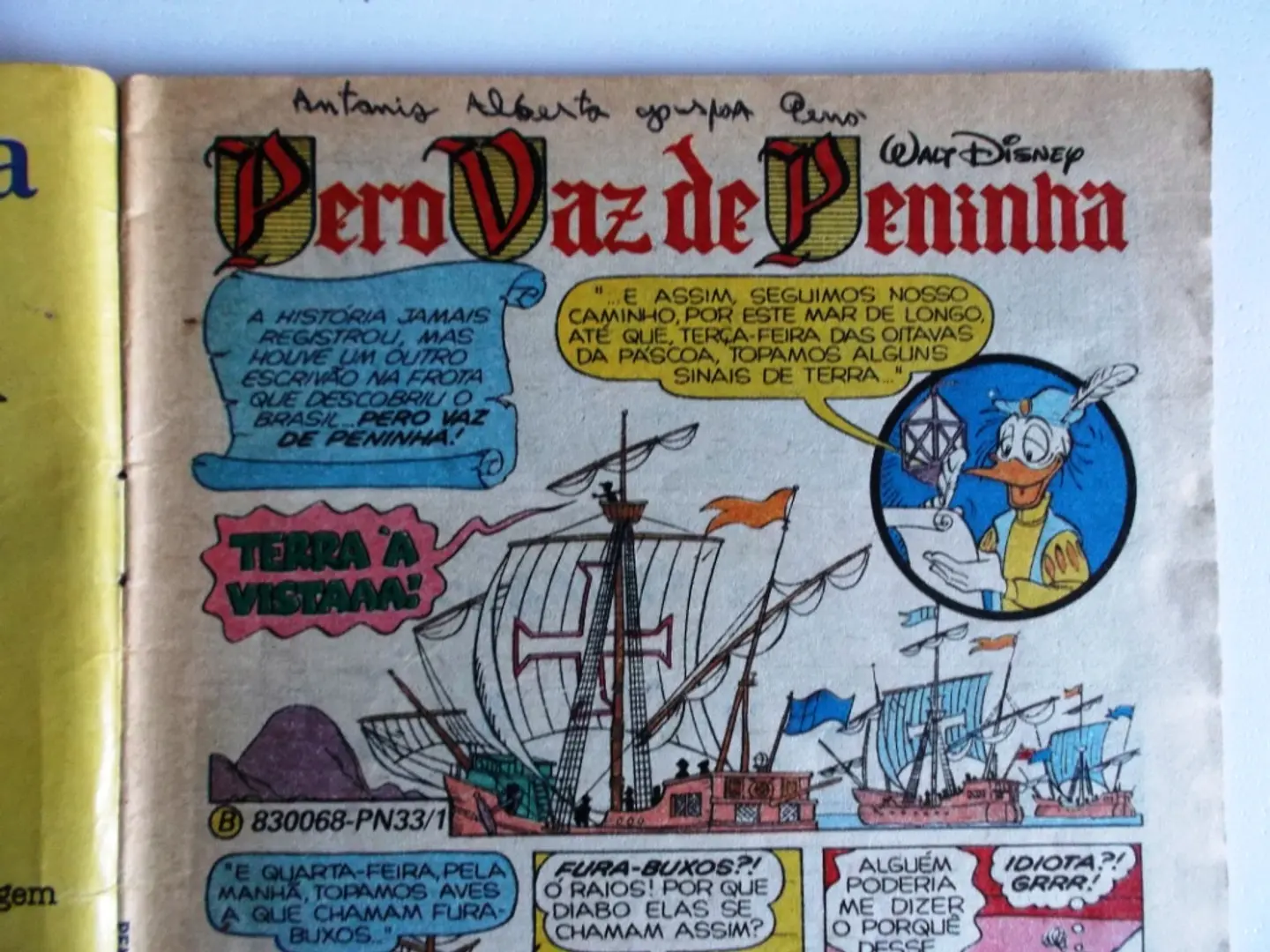 Peninha 33 4