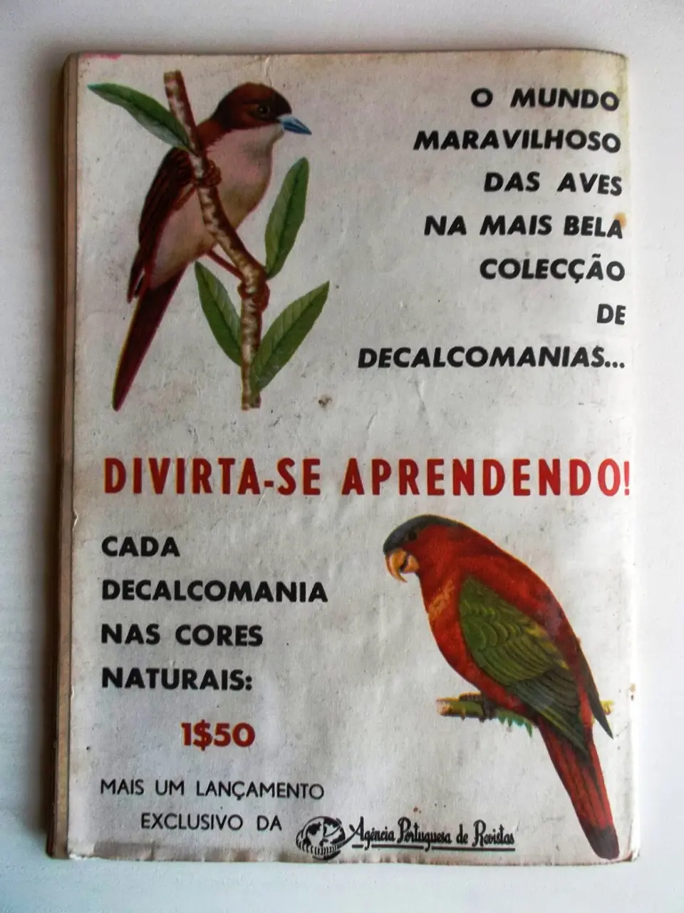 Condor 260 2