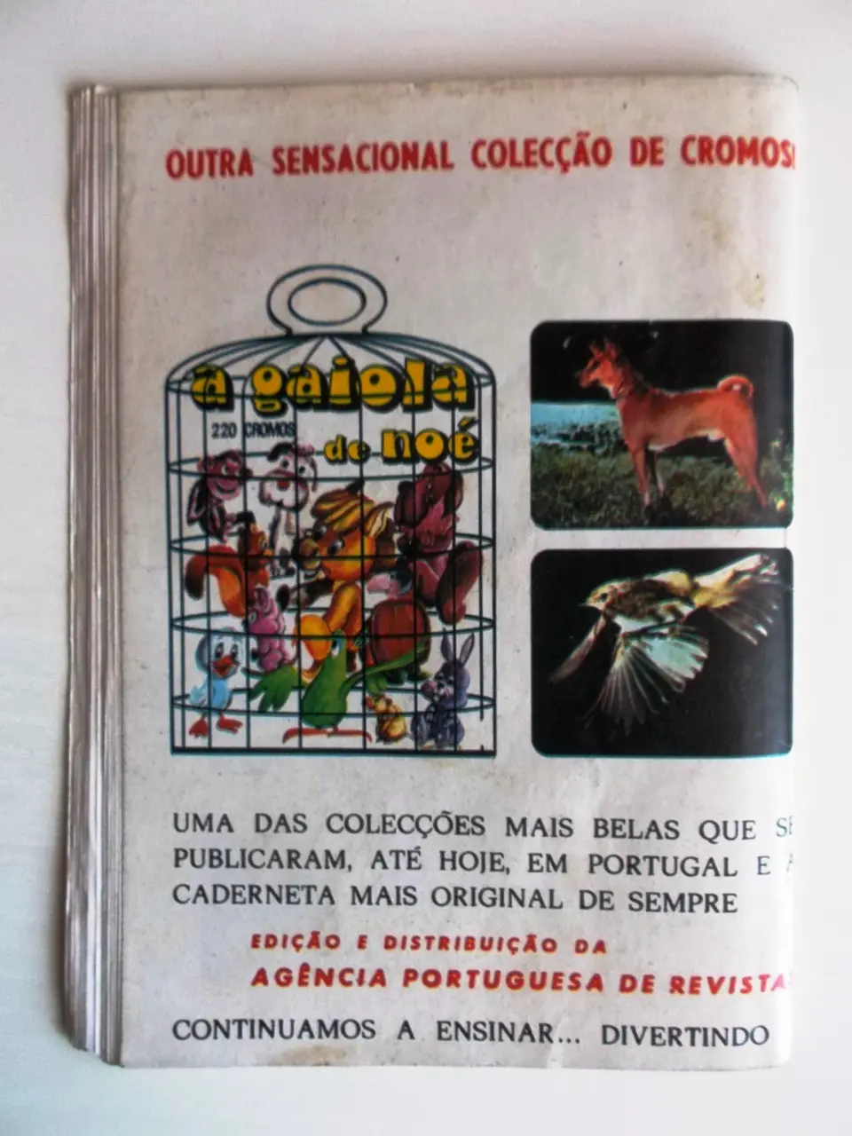 Condor 287 2