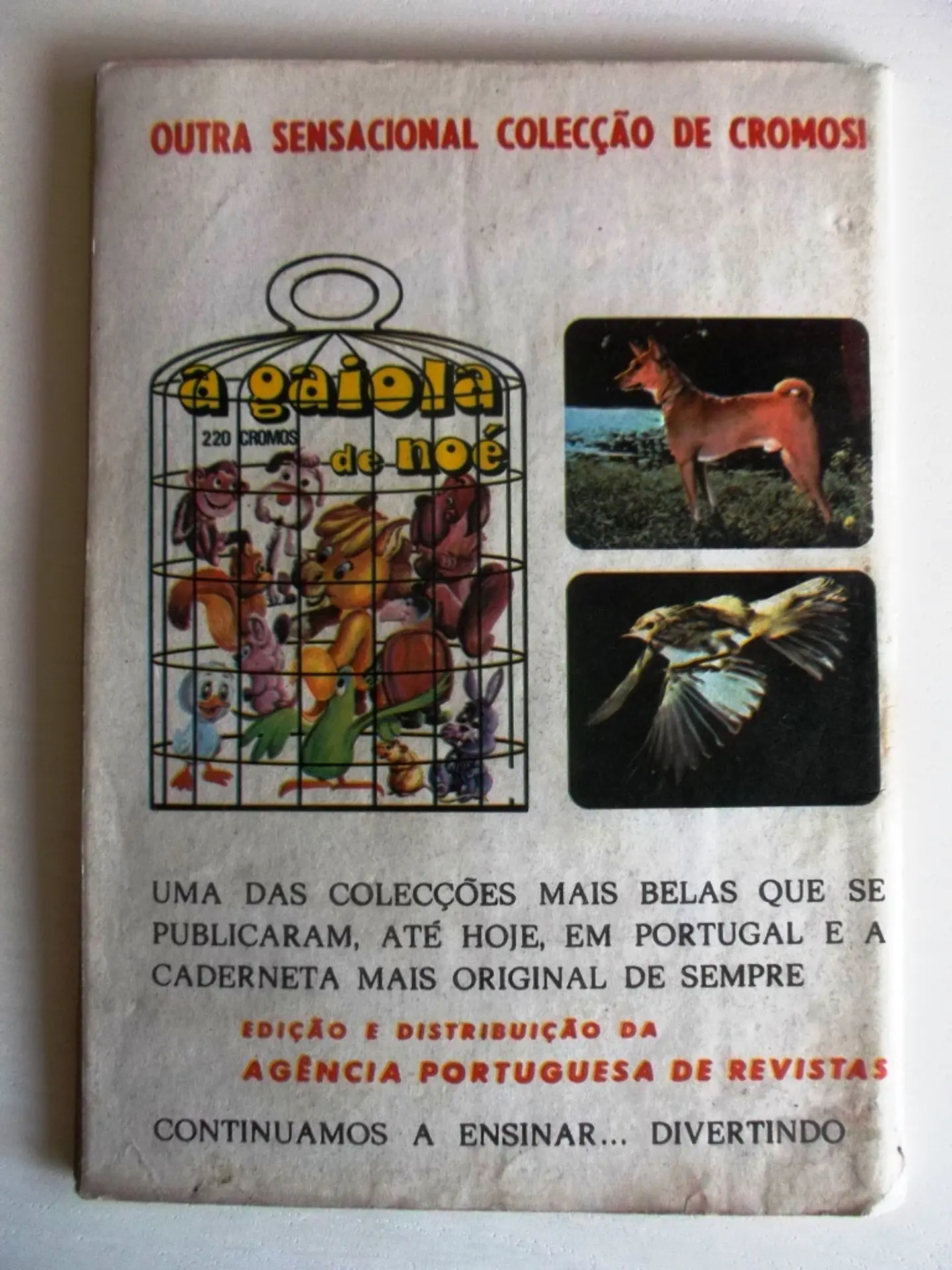 Colecção Tigre 046 | Sandor 2