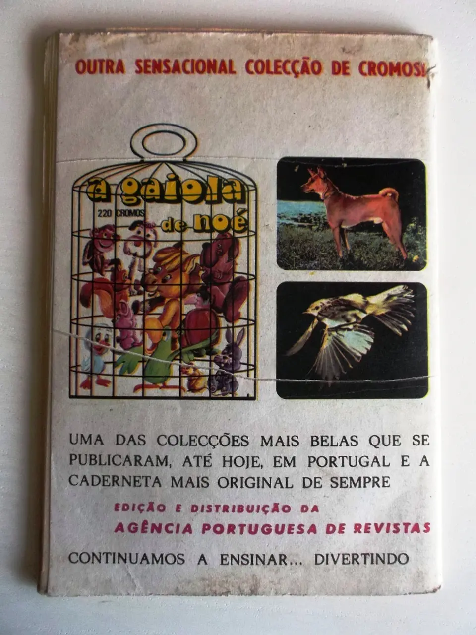 Colecção Tigre 050 | Sandor 2