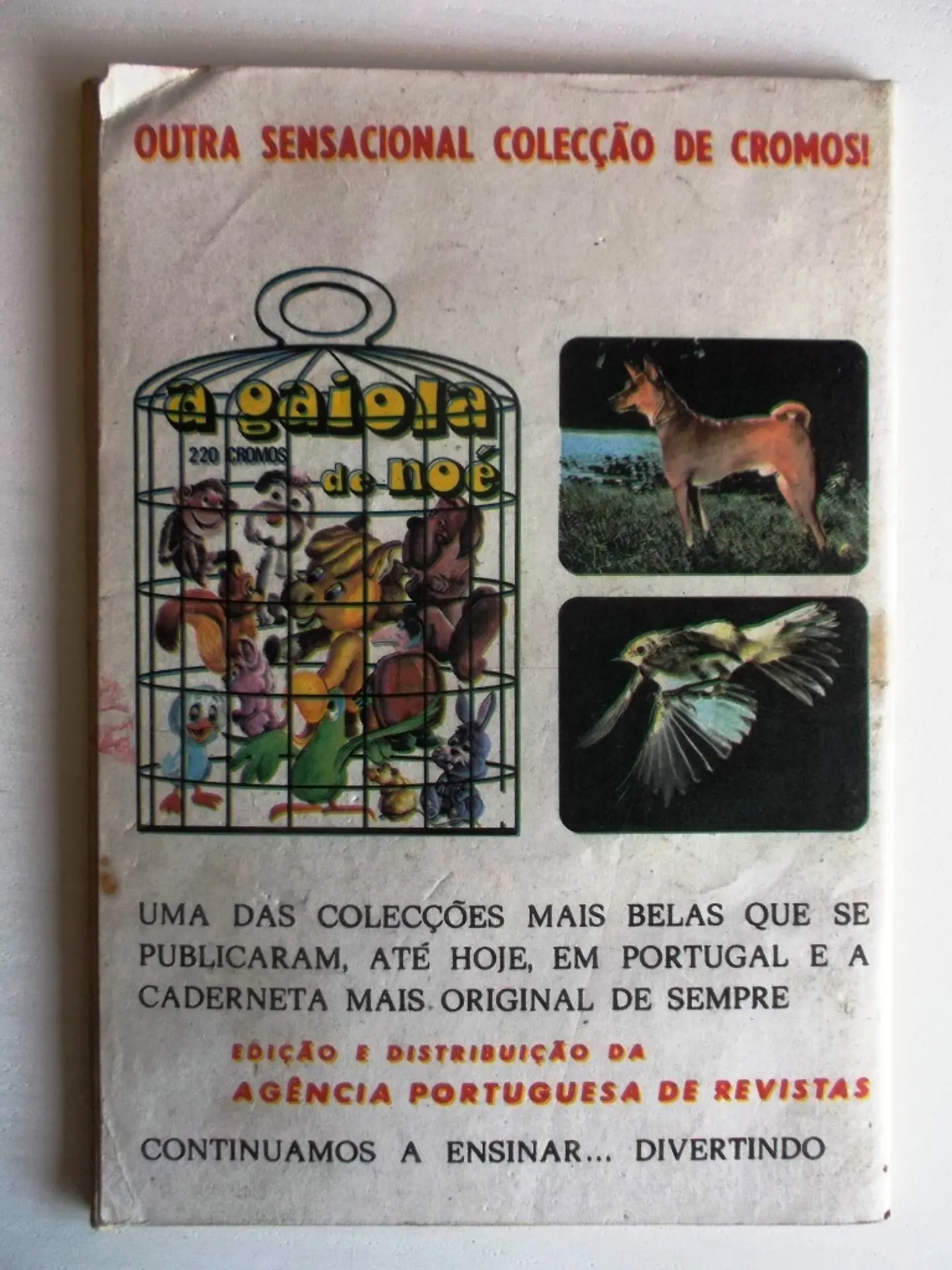 Colecção Tigre 042 | Sandor 2