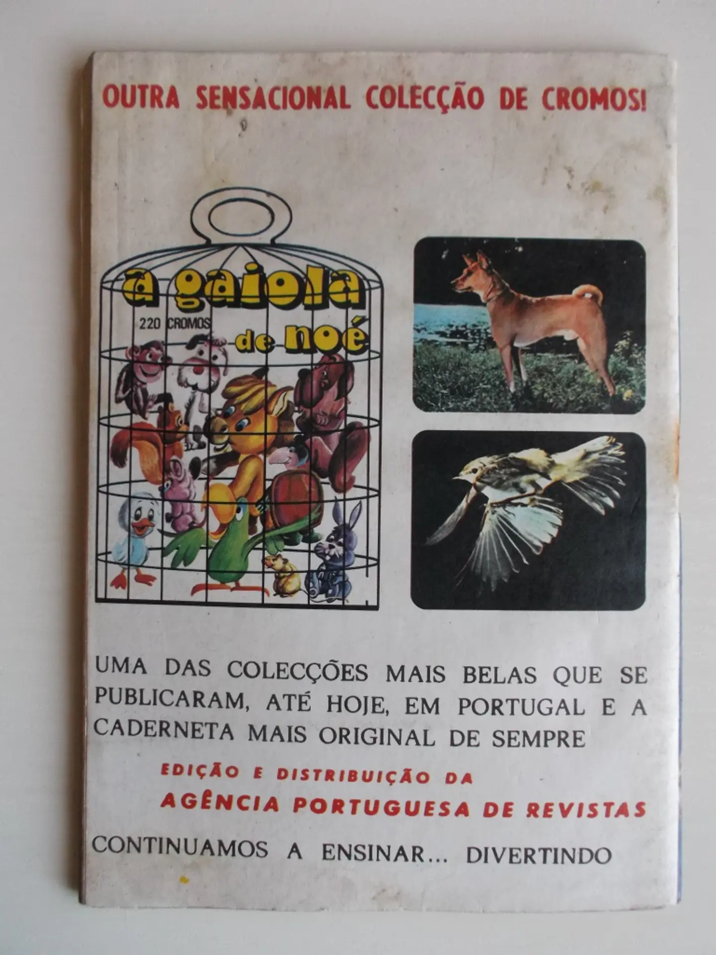 Colecção Tigre 056 | Ogan 2
