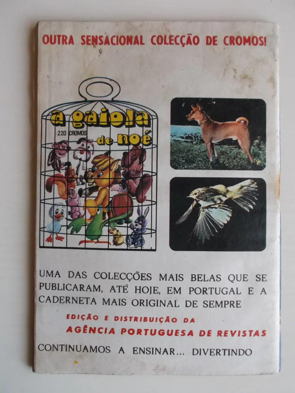 Colecção Tigre 056 | Ogan 2