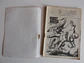 Condor 025 - thumbnail 4
