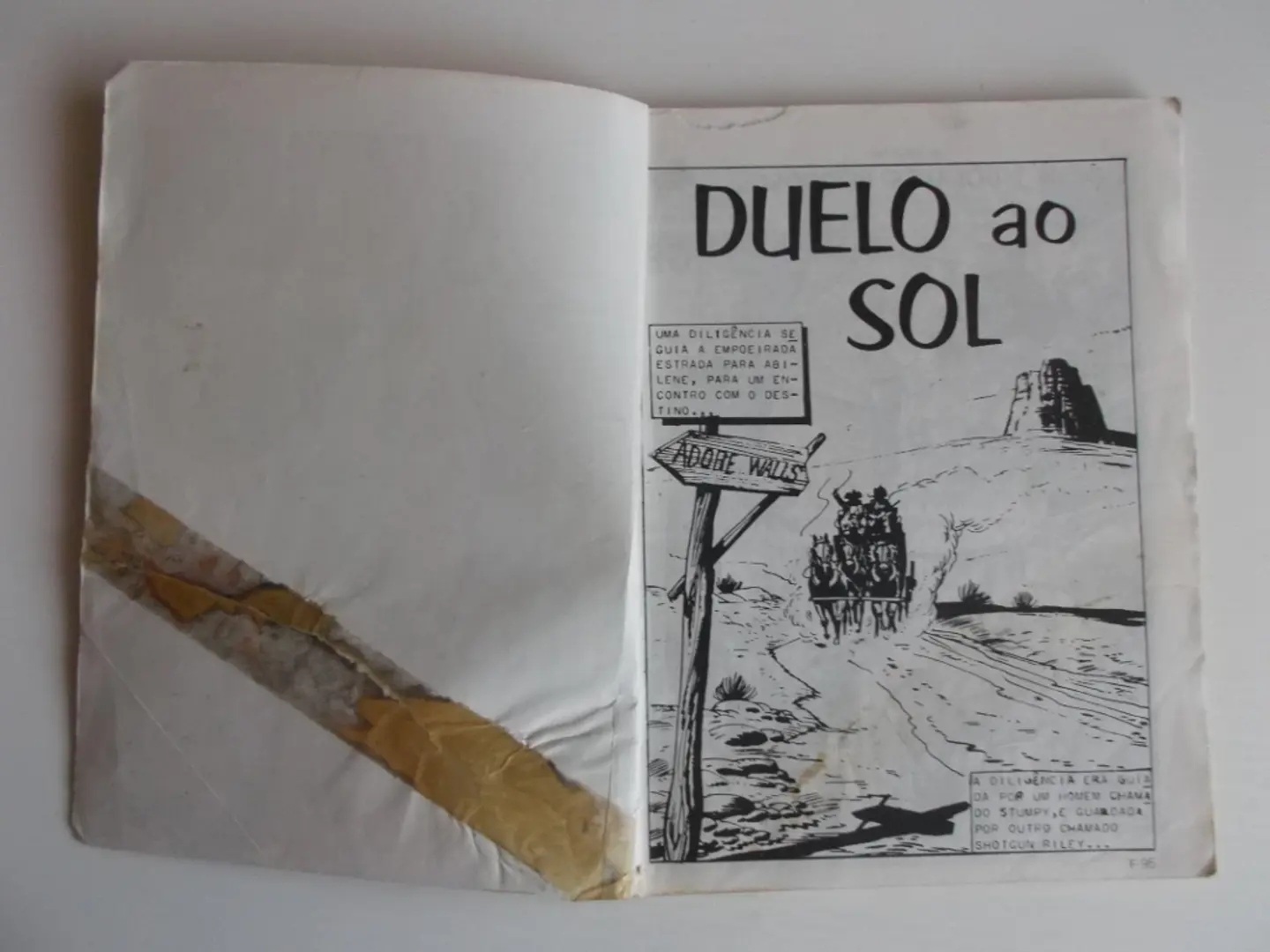 O Falcão 1089 4