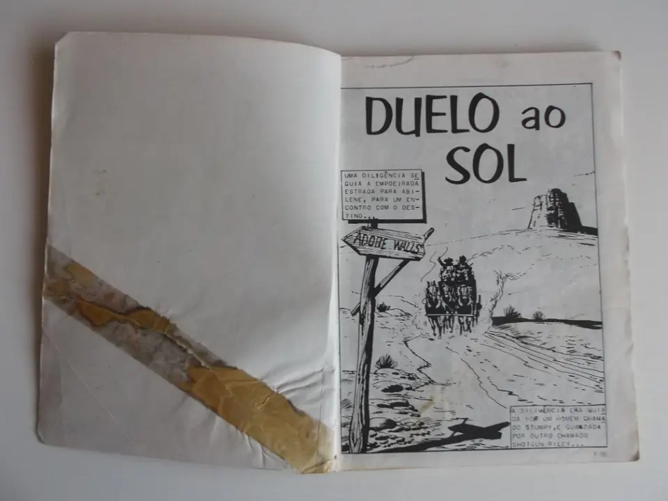O Falcão 1089 4