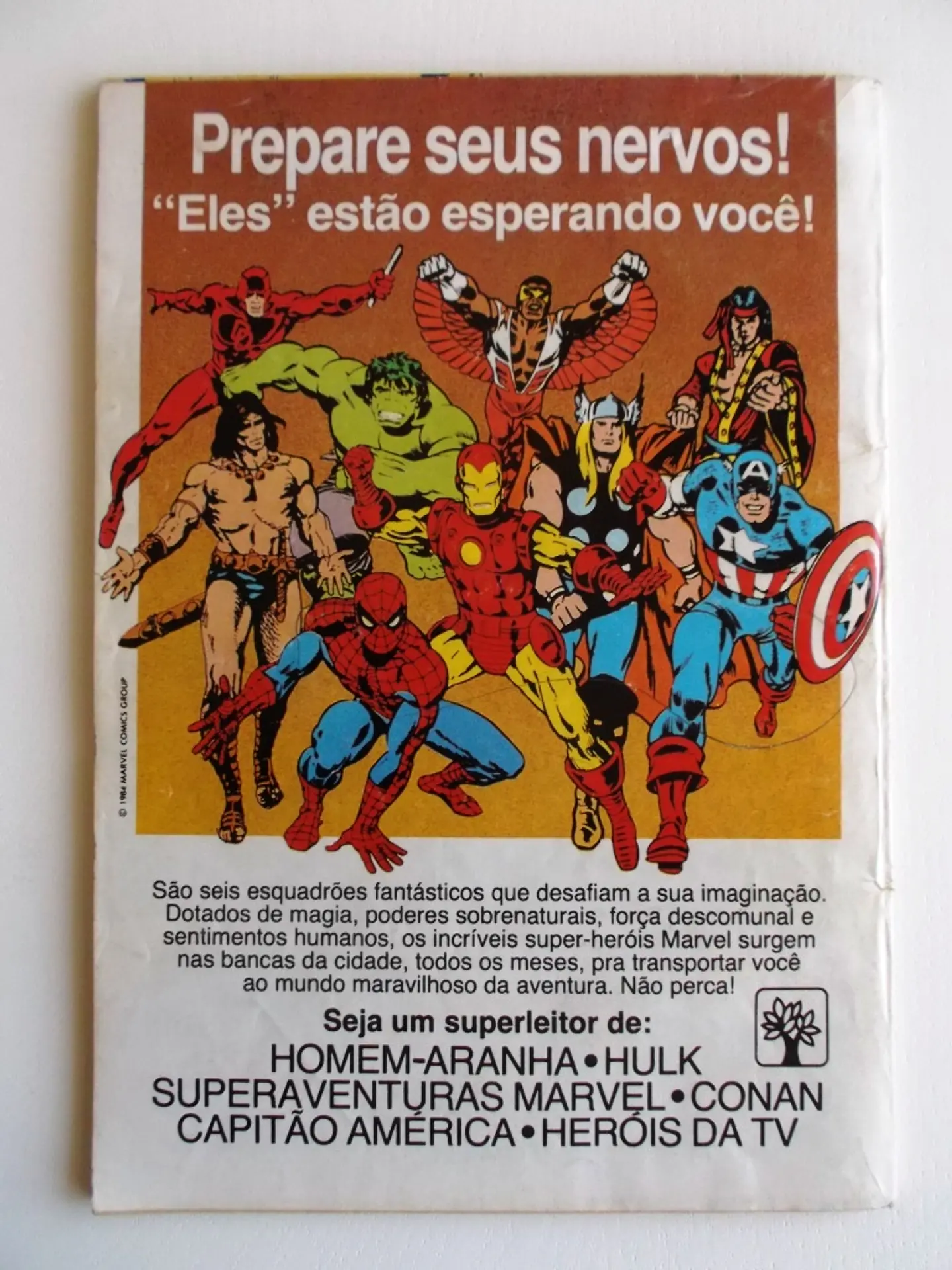 Homem Aranha 05 2