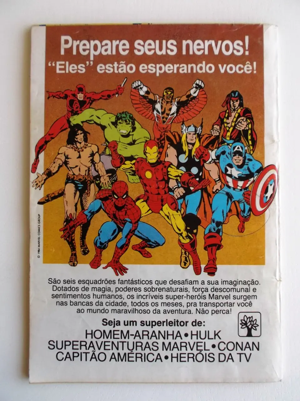 Homem Aranha 05 2