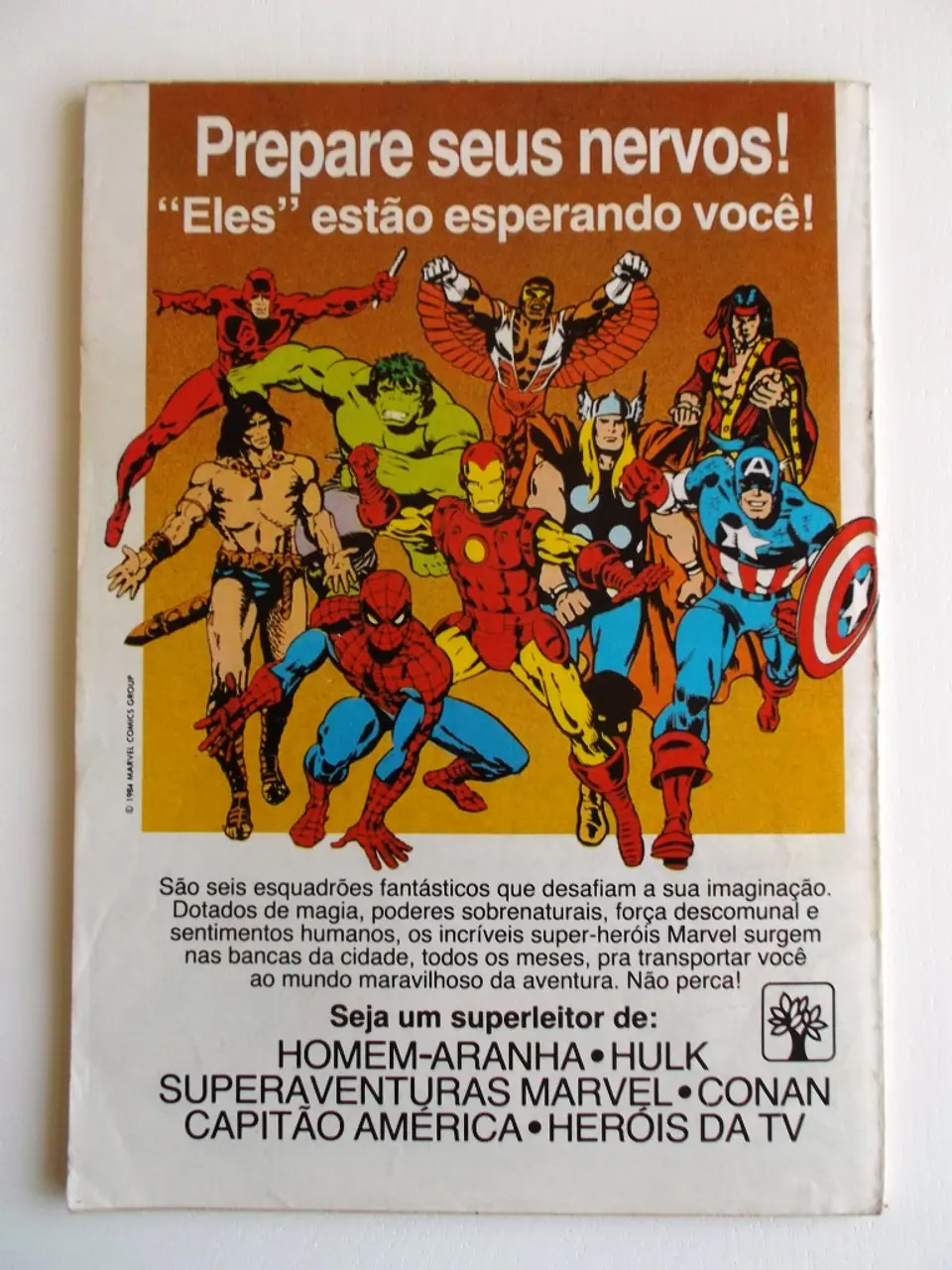 Homem Aranha 08 2