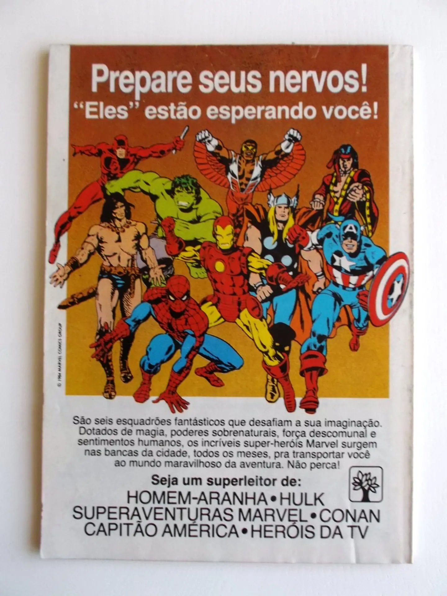 Homem Aranha 09 2
