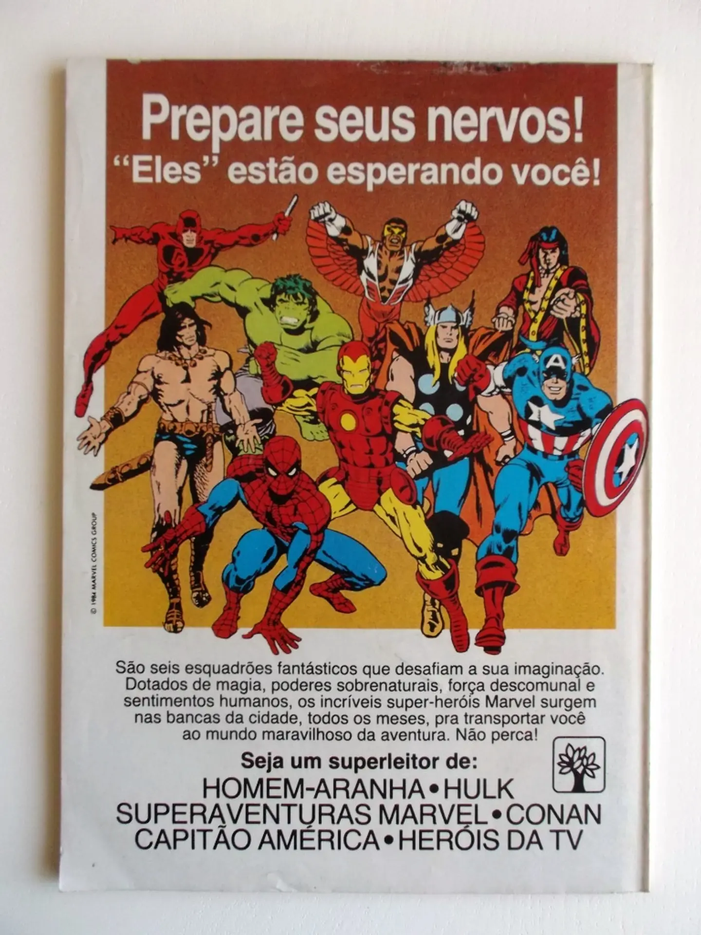 Homem Aranha 11 2