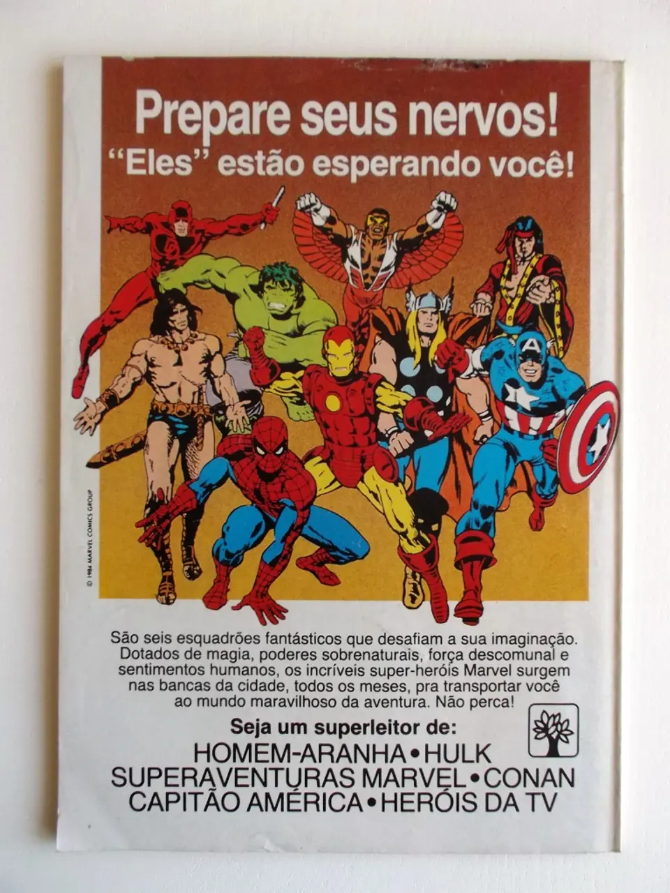Homem Aranha 11 2
