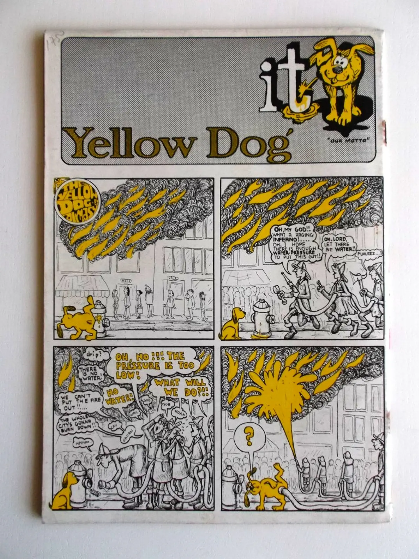 Yellow Dog 13 2