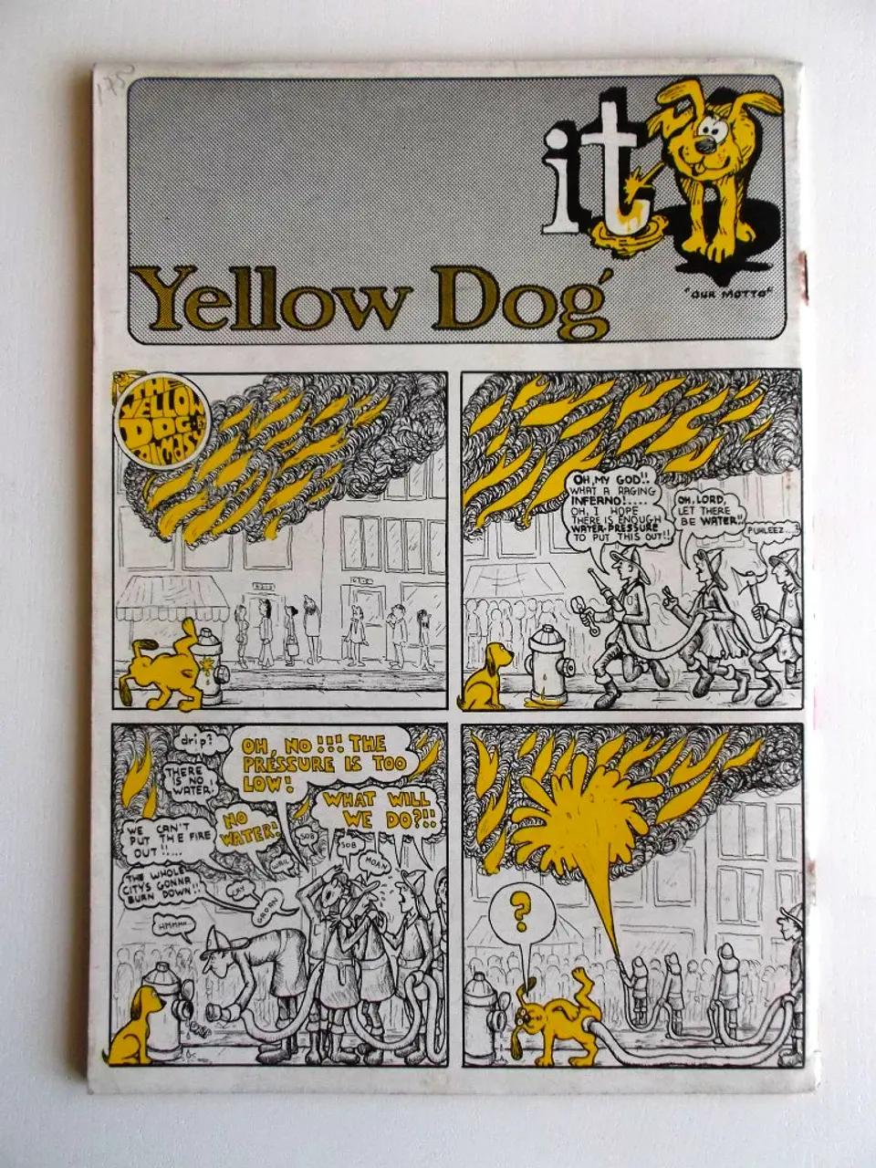 Yellow Dog 13 2