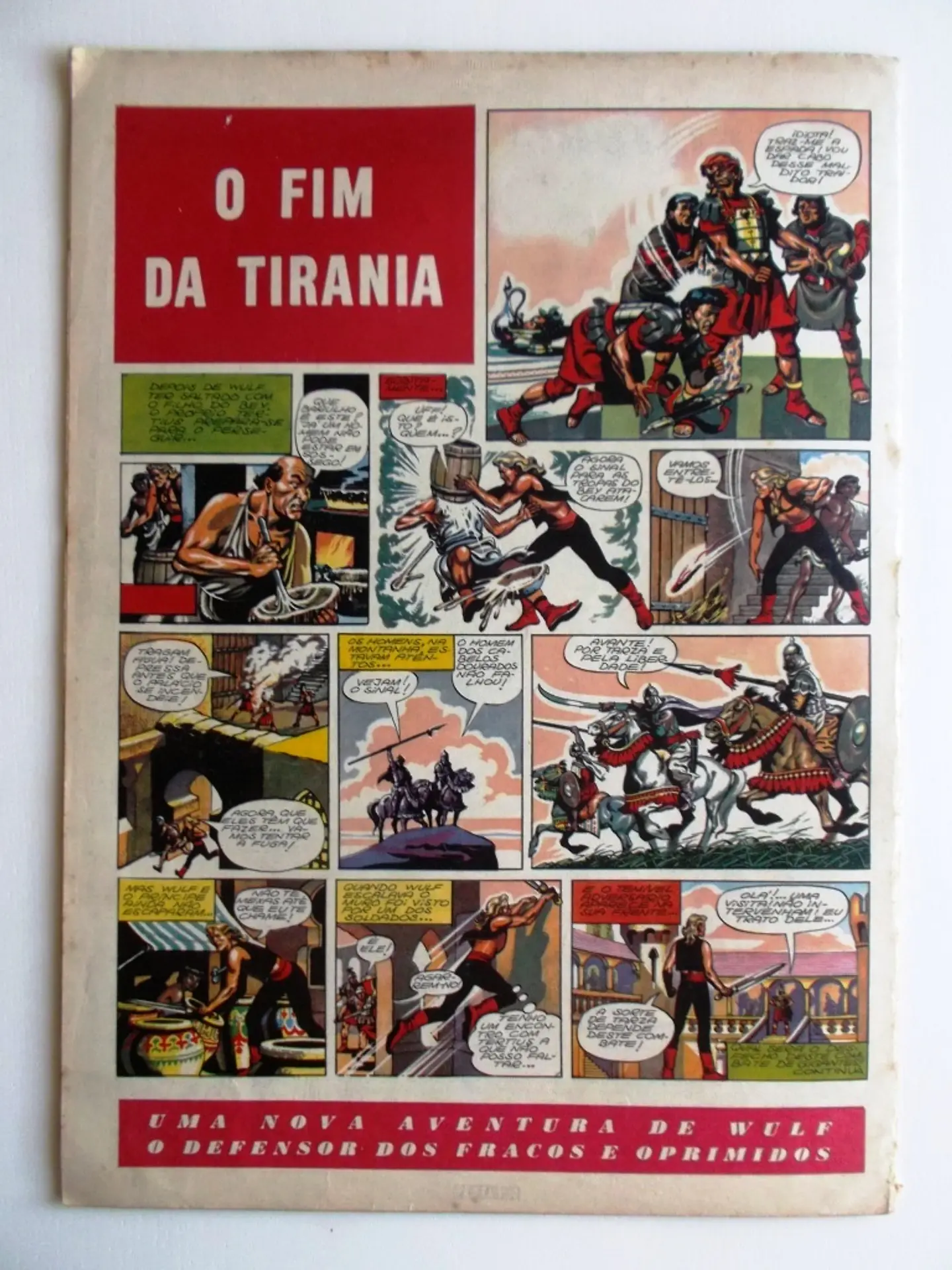 O Falcão 41 2