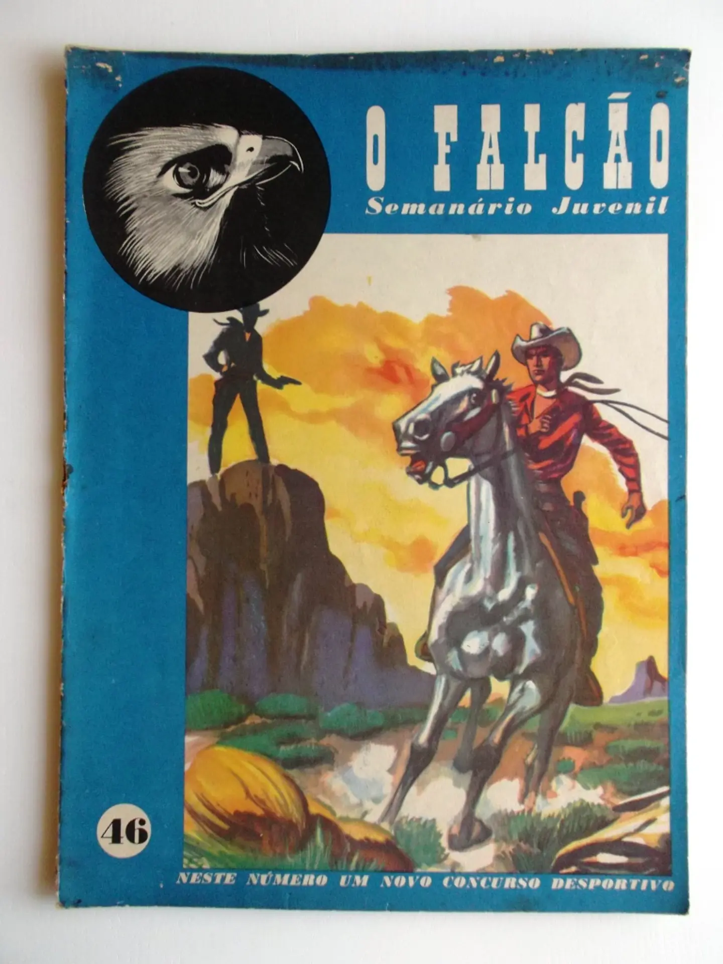 O Falcão 46 1