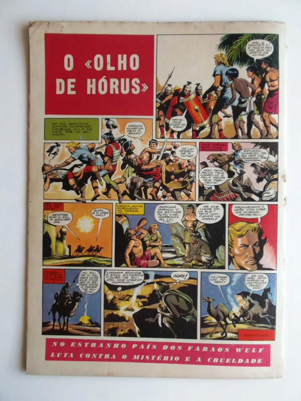 O Falcão 46 2