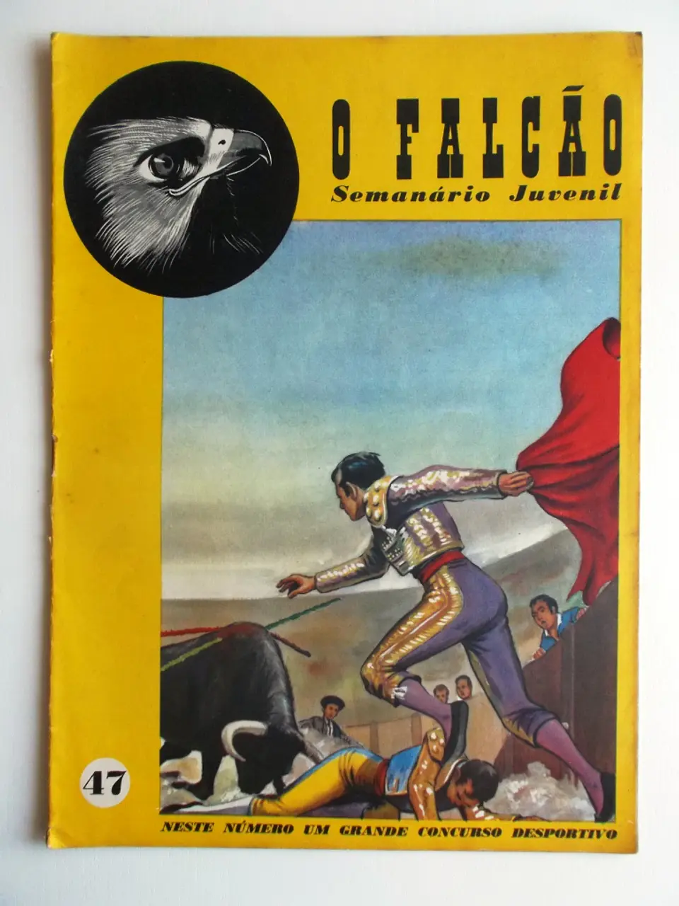 O Falcão 47 1