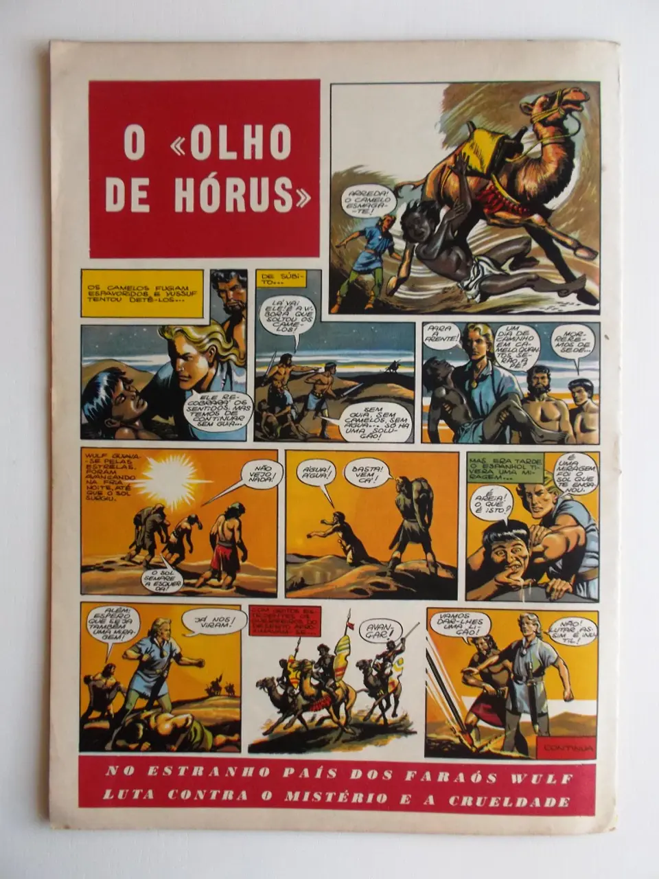 O Falcão 47 2