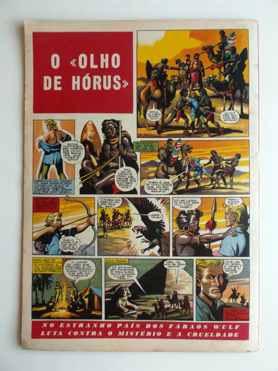 O Falcão 48 2