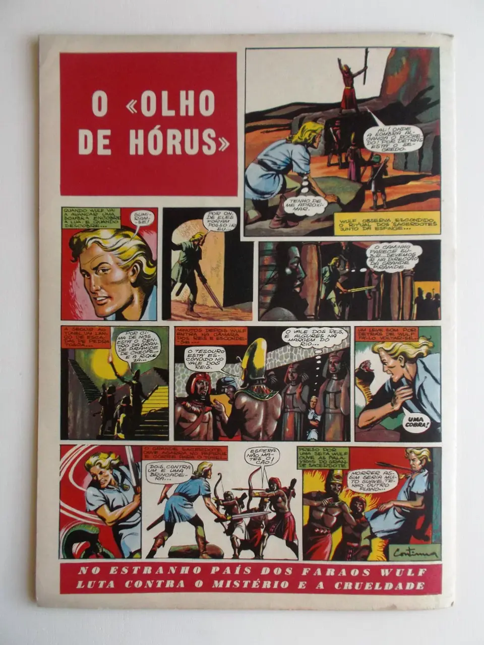 O Falcão 50 2